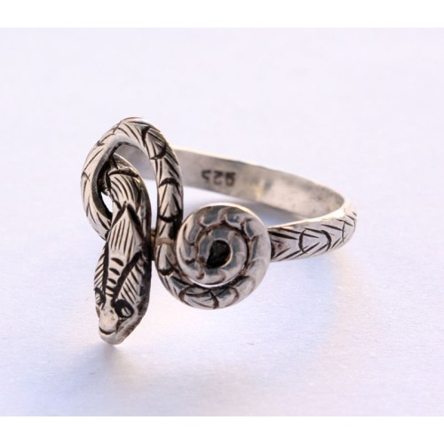 Ring snake