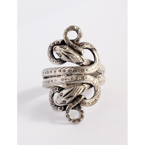 Ring double head snake